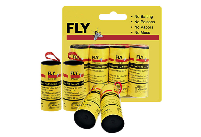 Fly Trap