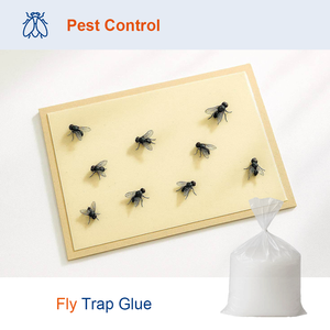Fly Traps Hot Melt Adhesive
